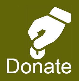 Donate to GWT